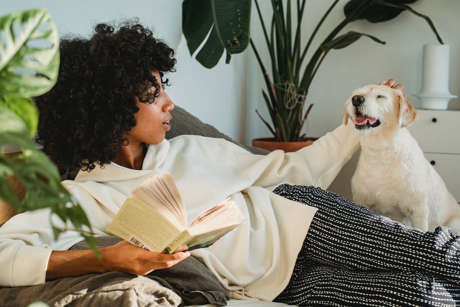 Hunde Ohrenlecken Gründe