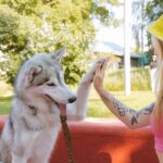 Hunde-Ohren anlegen - Bedeutung für Hundebesitzer erklärt