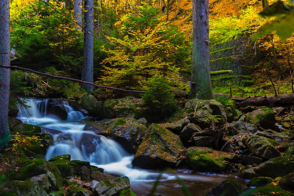  Tipps zum Loswerden von Wasser im Ohr