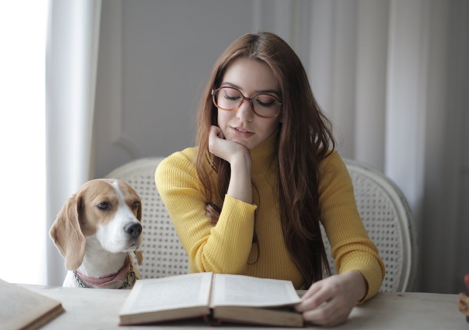 Wieso lecken Hunde Ohren - Erklärung der Verhaltensweise